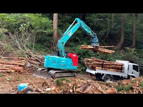 最強木材運搬車両/超高床4t4WDスタトラ動画