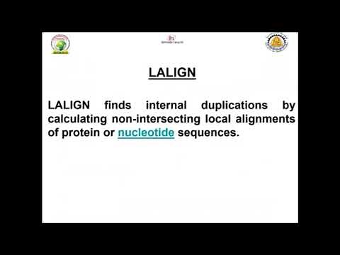 Bioinformatics Training: Pair wise Sequence Alignment
