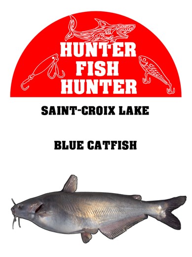 Blue Catfish Fishing at Sain-Croix Lake