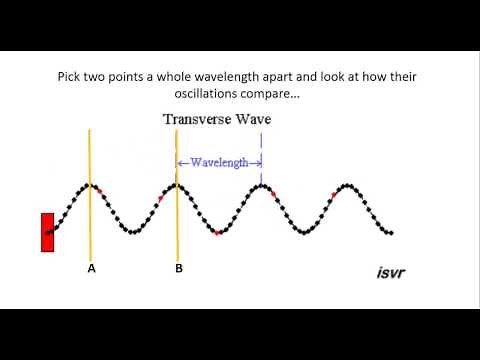 Transverse Waves in phase