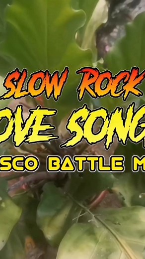 24K views · 380 reactions | Slowrock Lovesongs | Diskoral Tour | Facebook