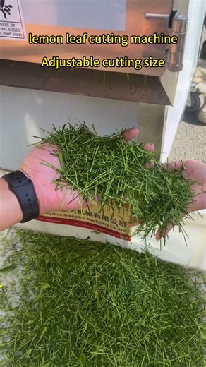 lemon leaf cutting machine vegetable cutting machine