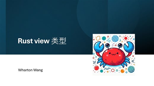 Rust view类型