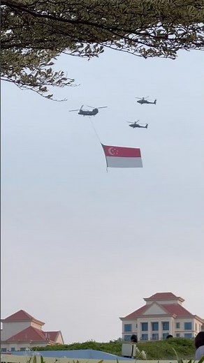 Singapore Flag Flypast SG61 🚁🇸🇬 #Shorts #NDP2026 #HelicopterFlypast #Viral