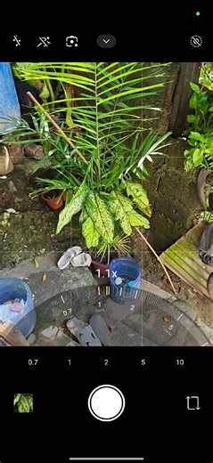 Understanding Optical Zoom vs. Digital Zoom