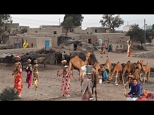 The Most Beautiful Pakistani Village Life || Old Village Lifestyle in Punjab