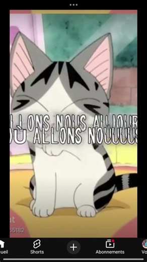 chi le chat