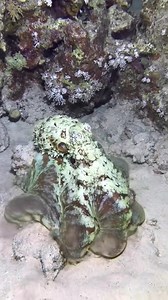 🫠🫠🫠 | Not My Problem