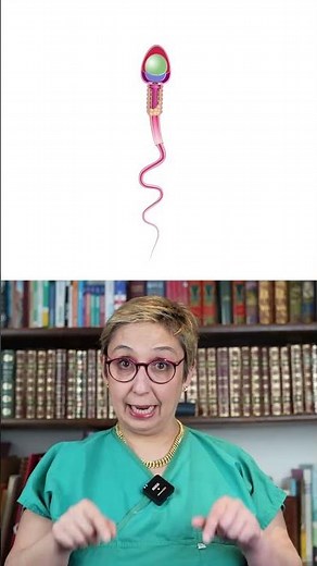 Anatomie 🌱 Spermatozoïde 🧬 || #biologie , #scienceviral , #education , #anomalies