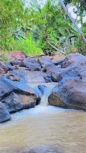 Relaxing Water Flow & Birds Chirping