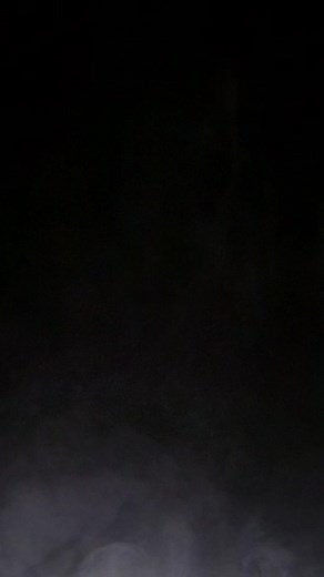 245K views · 3.3K reactions | ⚠️WARNING⚠️Extremely scary video…you’ve been warned! Were you scared? #ghosts #ghostdogs #halloween #boo #dogs #huskies #rescueismyfavoritebreed | 2Husketeers | Facebook