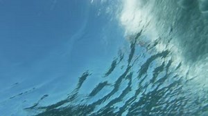 33K views · 188 reactions | We’re not oceanographers or anything, but...