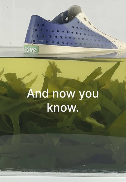 Bloom 101: Embracing Sustainable Fashion