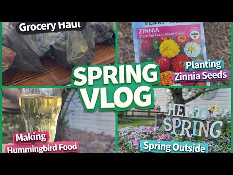 Spring Country Vlog 🌿 Grocery Haul + Planting Zinnia Seeds + Easy Hummingbird Food