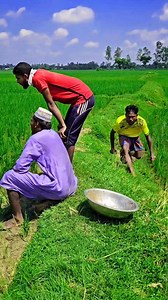 20K views · 32 reactions | Wait Wait  #dehaticomedy #funnymoments #standupcomedy #funny | Dehati Comedy | Facebook