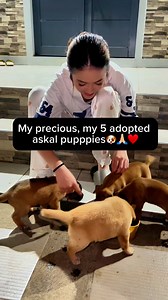 My precious moment with them, PRICELESS🩵🐶 #mypuppies #ilovedogs #happymondaynight | Angela Sabrina Pasajol Fernandez-Cuervo