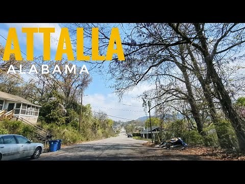 ATTALLA, AL: What a nice surprise!!!! MUST SEE!!!!
