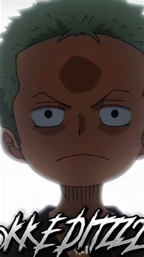 ZORO X KUINA/TASHIGI