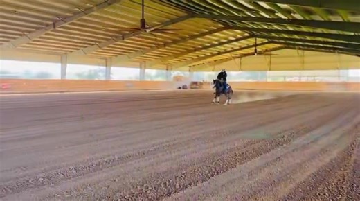 18 reactions | 2026 Futurity Prospect by Inferno Sixty Six out of Genuin Off [by Smartin Off] | Concarella Performance Horses | Facebook