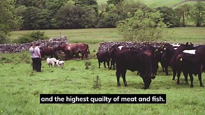 771K views · 45 reactions | Say goodbye to the stodgy carbs - it’s time to join 10,000 other diners and get mindful. From £4.50 per meal, we deliver everything you need to make delicious low-carb evening meals. | Mindful Chef | Facebook