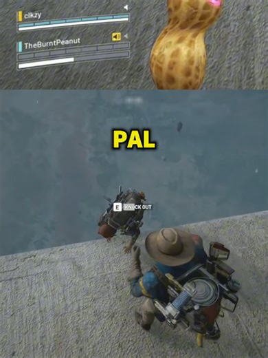 Peanut Shows High IQ Tech Skills in Gaming