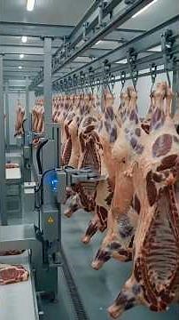 inside a factory how whole cow are roasted #factoryprocess #factoryproducts #foryou # fyp #viral