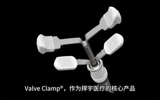医工结合，捍宇理疗第一视角带您了解ValveClamp®临床核心需求