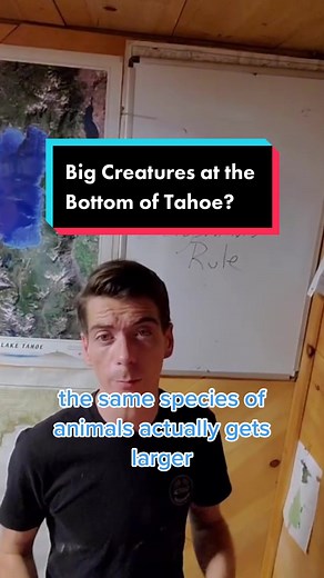 Exploring the Mystery of Big Creatures at the Bottom of Lake Tahoe