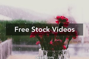 Rainning Videos, Download The BEST Free 4k Stock Video Footage & Rainning HD Video Clips