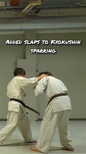 Kyokushin Fighter Techniques and Challenges