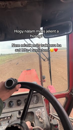 👑_KIS_DANKU_👑 (@_danku_almos_) videója, benne: original sound - Sulav Thapa 🥏