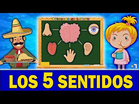 LOS 5 SENTIDOS 🌟 Juego En SITUACIONES ▪ VIDEO Educativo Para NIÑOS