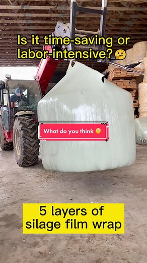 Big smart😆#foryou #silage #balewrapping #roundbales #foryoupage #fyp #wholesale #pefilm #balewrap #silagewrap #factory #wrapping #wrapfilm
