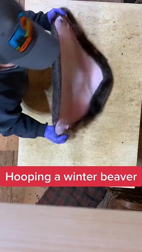 NewEnglandNaturals on TikTok