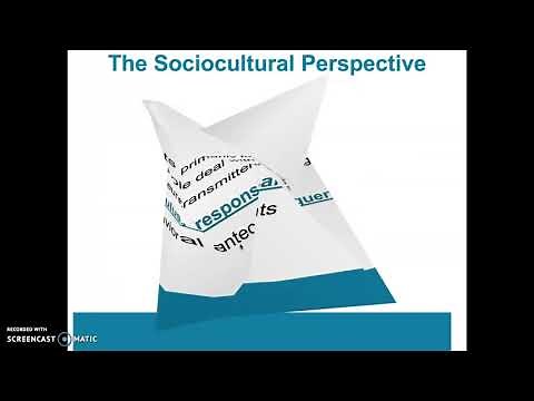 The sociocultural model