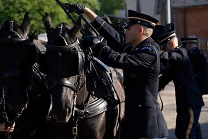 Army Disbanding Most Ceremonial Horse Units