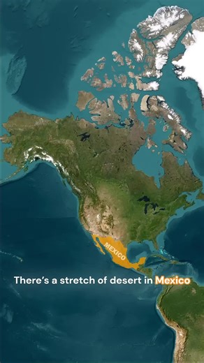 Scientists' Concerns About Mexico's Mysterious Desert