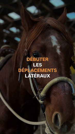 1.4K views · 209 reactions |  DÉBUTER LES DÉPLACEMENTS LATÉRAUX ...