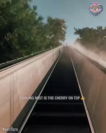 6.1M views · 4.7K reactions | Lazy hiking. That's just what I need  | Now I've Seen Everything | Facebook