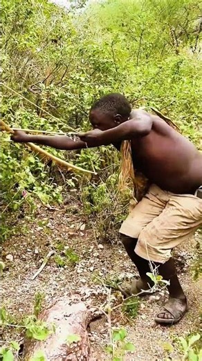 How Hadzabe Men Hunt Giant Leopard on Tree with Powerful Primitive Bows 🏹🐆 #shorts