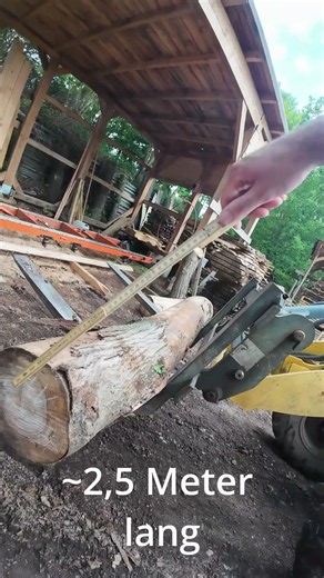 „Brennholz oder Wertholz? Was meint ihr? 🤔🪵“ #sägewerk #woodworking #holz #stamm #natur #holzwerken