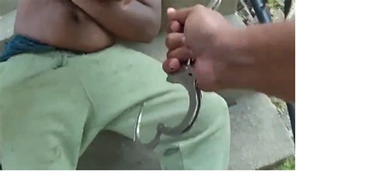 Springfield police release footage showing "use of force"