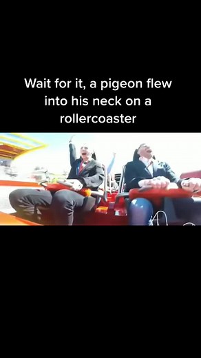 Pigeon Encounter on Red Force Rollercoaster
