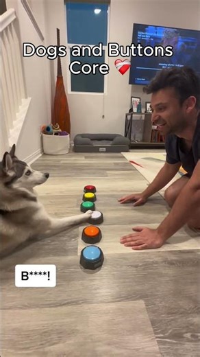 Hilarious dogs and buttons core
