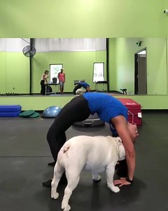 5.8K views · 42 reactions | Puppy training partners are the best and most lovable kind!   Increase YOUR spinal mobility with our ONLINE COURSES! ➡️➤https://buff.ly/2JNo7wI | GymnasticBodies.com | Facebook