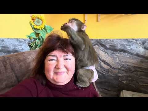 FOR THE FIRST TIME we are putting Anfisa, Lyusya, Styopa, and Manya together. Anfisa doesn't want...