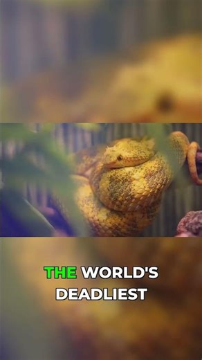 Sharks & Snakes: Nature's Final Deadly Surprises!