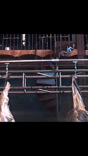 A human meat factory And people didn’t know where the beef came from …. This is traumatizing
