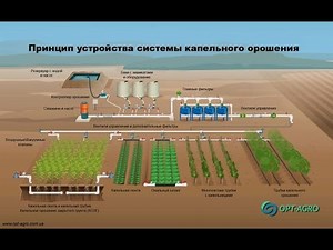 How subsurface irrigation works. Irrigation of orchards, vineyards, corn, and soybeans.