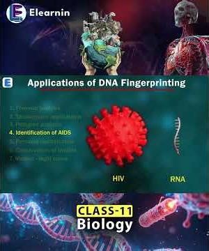 Applications of DNA Fingerprinting Explained 🧬 | Forensics, Paternity & Wildlife